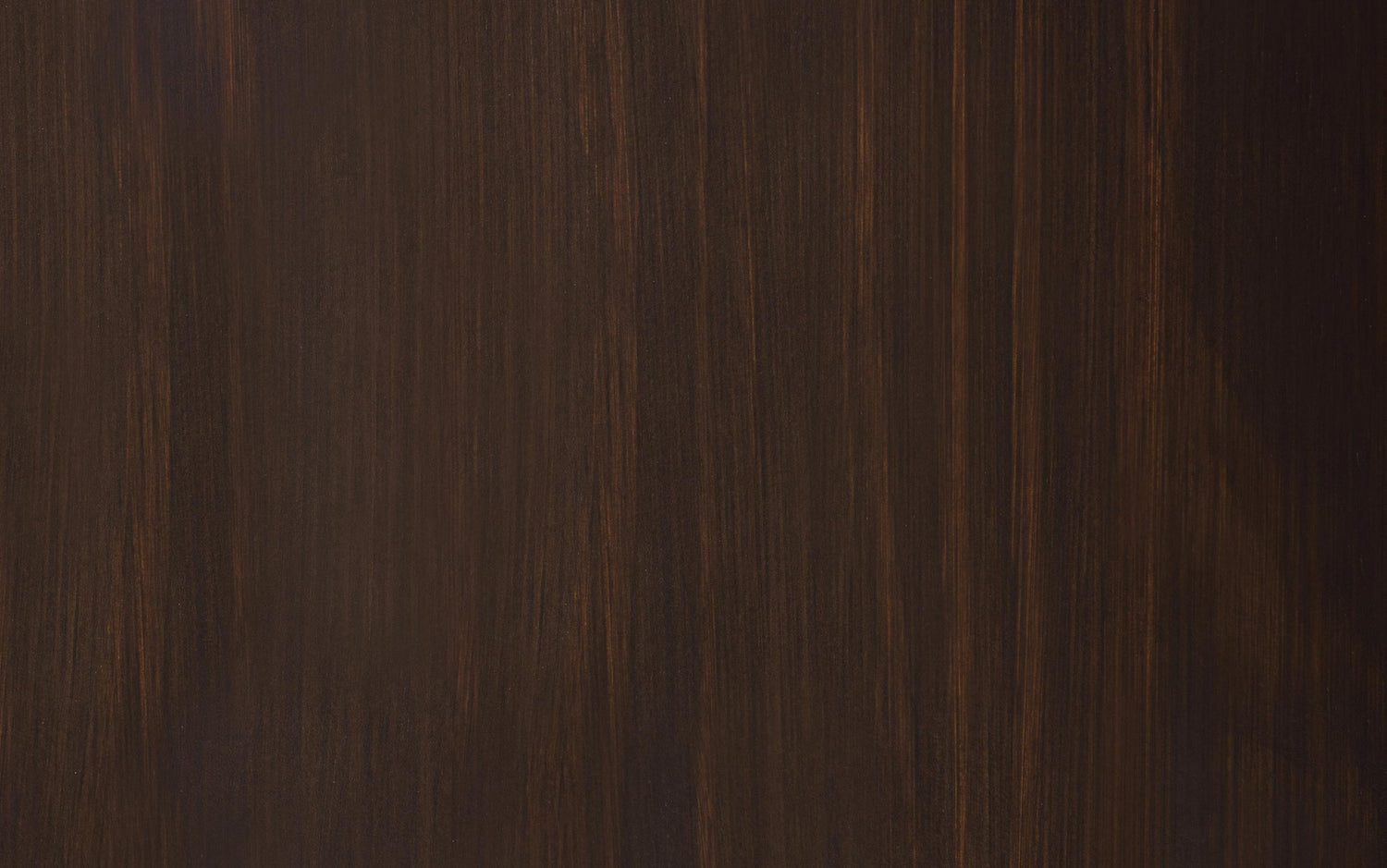 Dark Chestnut Brown | Connaught Entryway Storage Cabinet