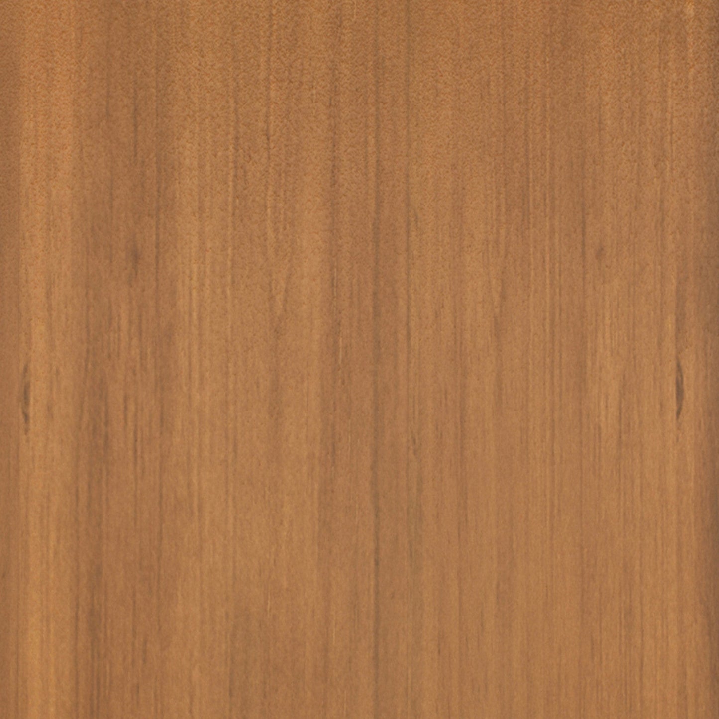 Honey Brown | Artisan Low Storage Cabinet