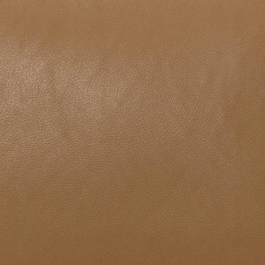 Butternut Brown Swatch