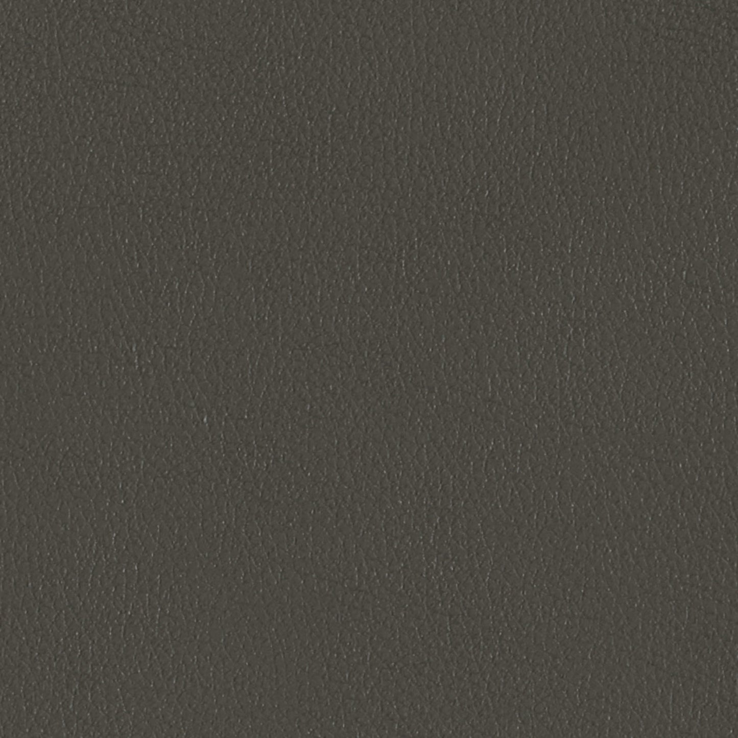 Coal Swatch