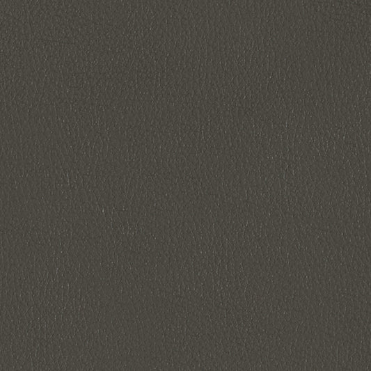 Coal Swatch