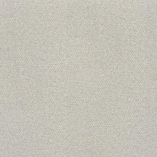 Cream White Swatch