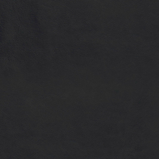 Lead Black Swatch