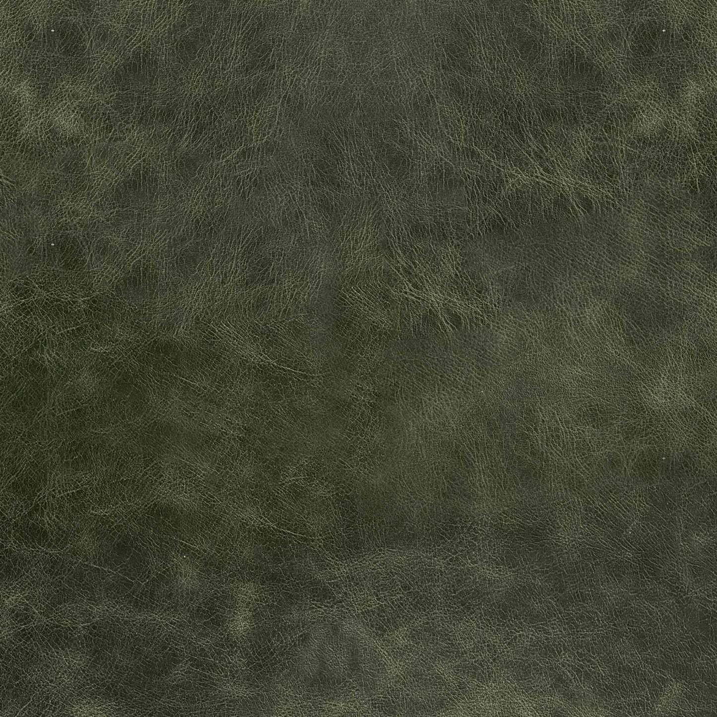 Moss Green Swatch