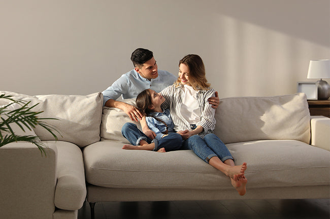 Mulberry Product Protection Family