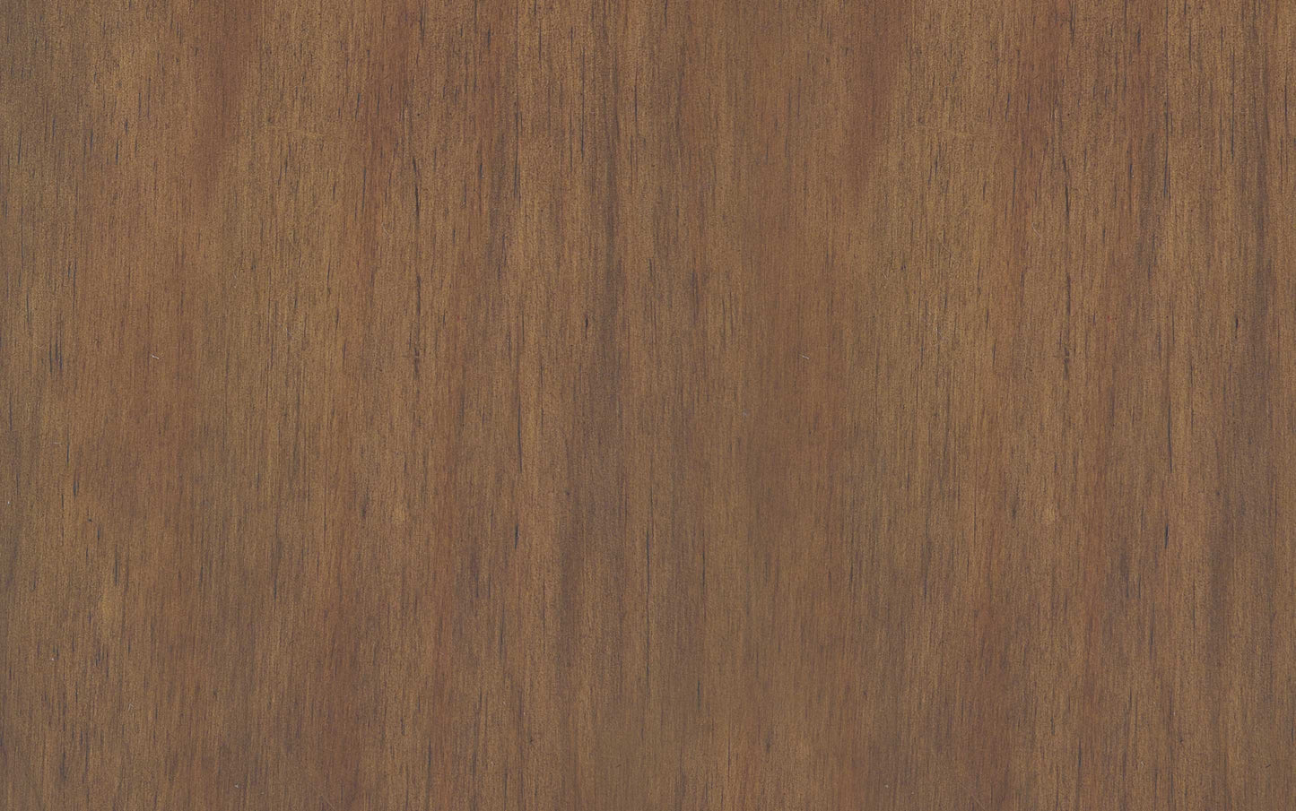 Natural Aged Brown | Connaught Medium Storage Bench Trunk