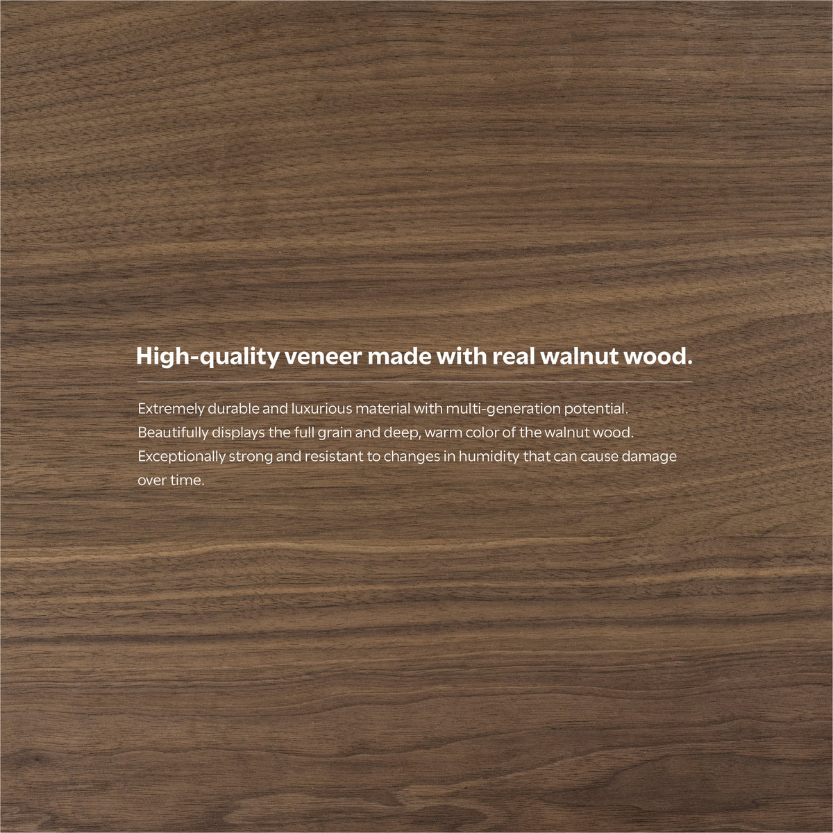 Walnut Walnut | Banting Bookcase in Walnut