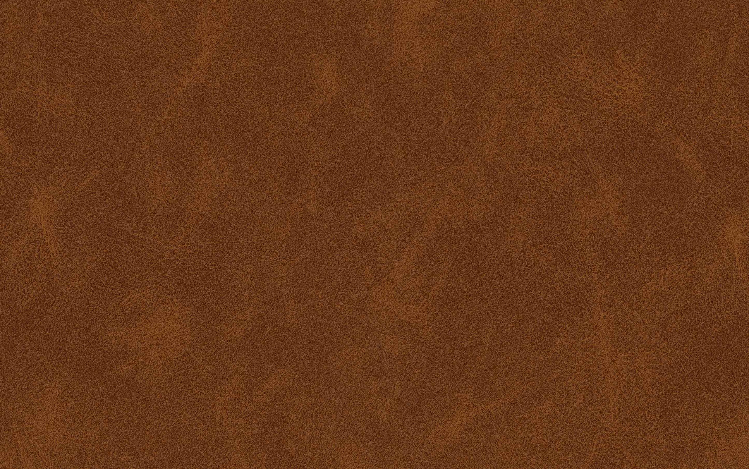 Camel Brown | Dafney Counter Height Stool (Set of 2)
