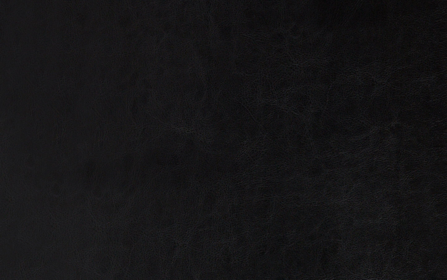 Carbon Black Vegan Leather | Avalon Storage Ottoman Bench in Carbon Black