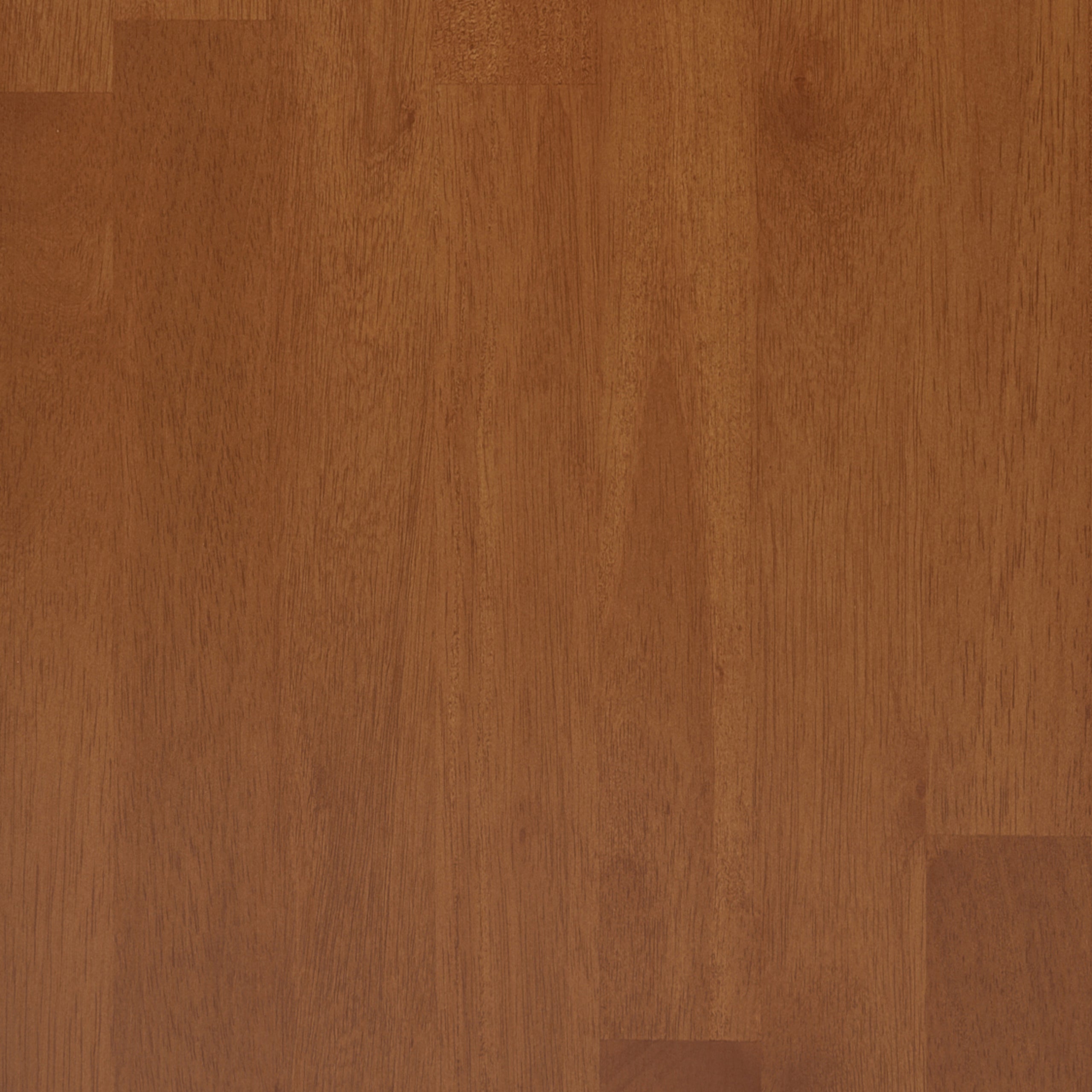 Teak Brown | Harper 48 inch Medium Storage Cabinet