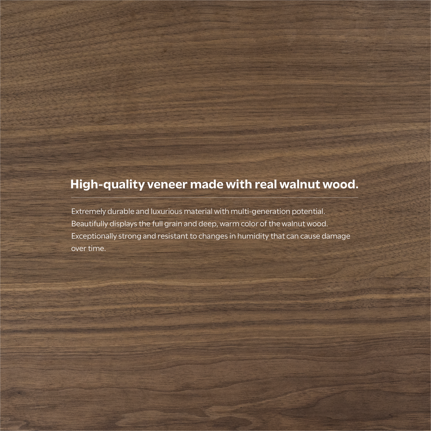 Walnut Walnut | Lowry TV Media Stand in Walnut