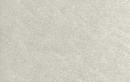Light Smoke Grey Genuine Leather | Richard 63 inch Loveseat in Genuine Leather