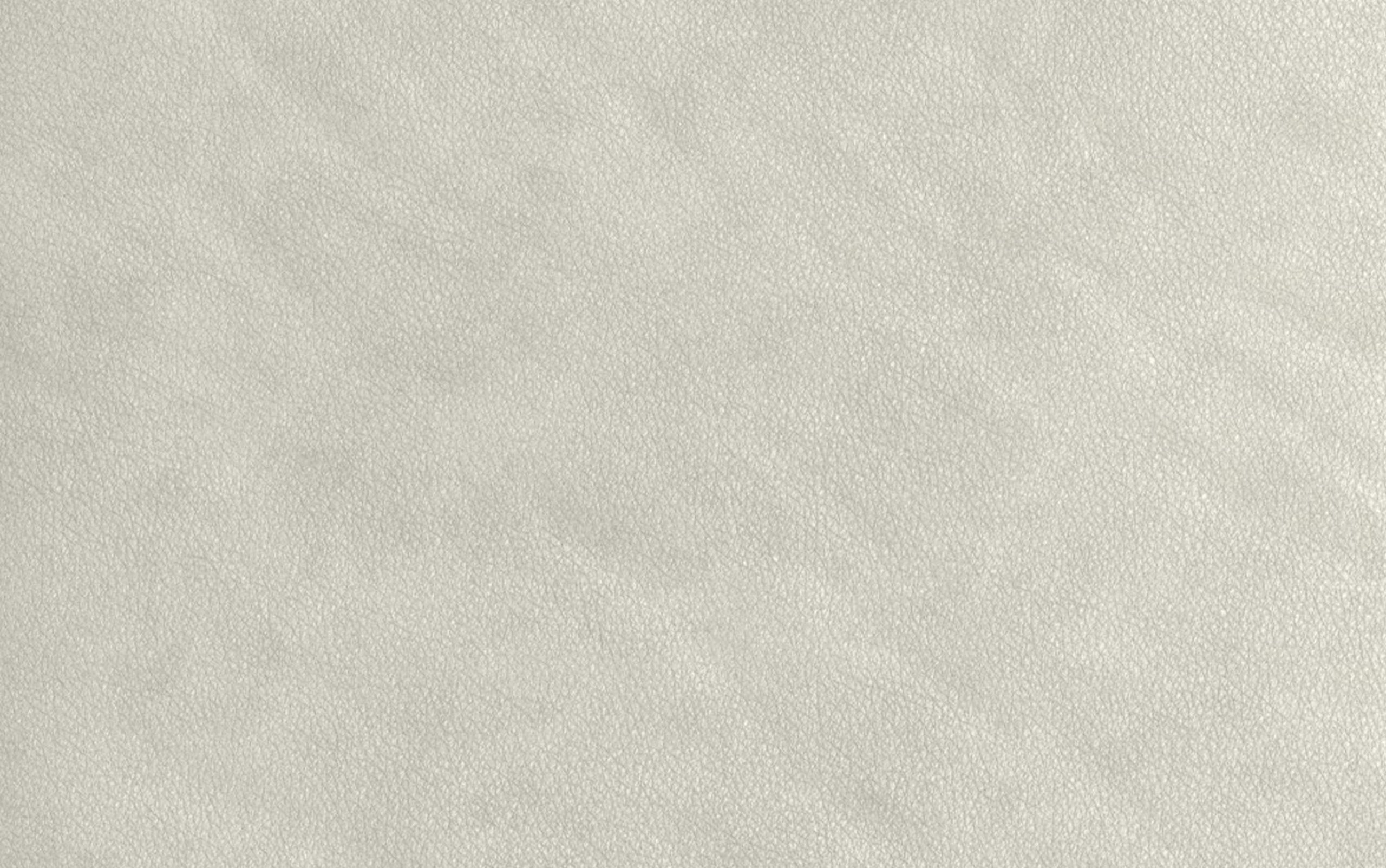 Light smoke Grey Genuine Leather | Stevens 60 inch Loveseat in Genuine Leather