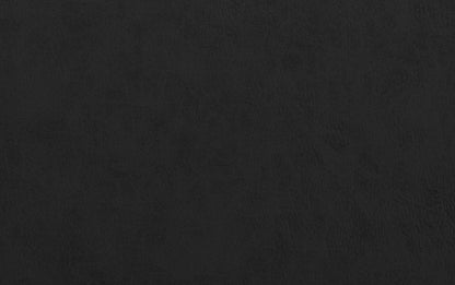 Distressed Black Distressed Vegan Leather | Rockwood Vegan Leather Cube Storage Ottoman with Tray