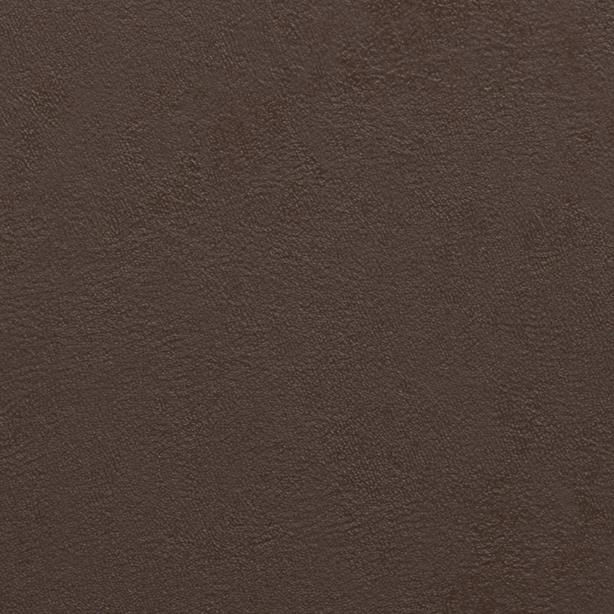 Chocolate Brown Vegan Leather | Ellis Coffee Table Storage Ottoman