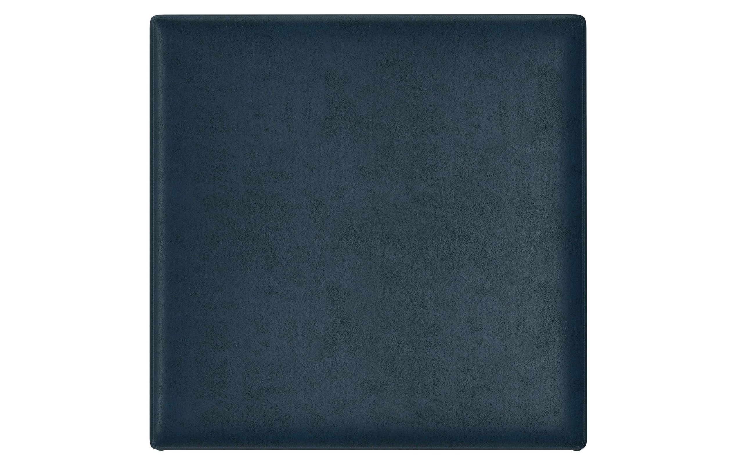 Distressed Dark Blue Distressed Vegan Leather | Owen Coffee Table Ottoman with Storage