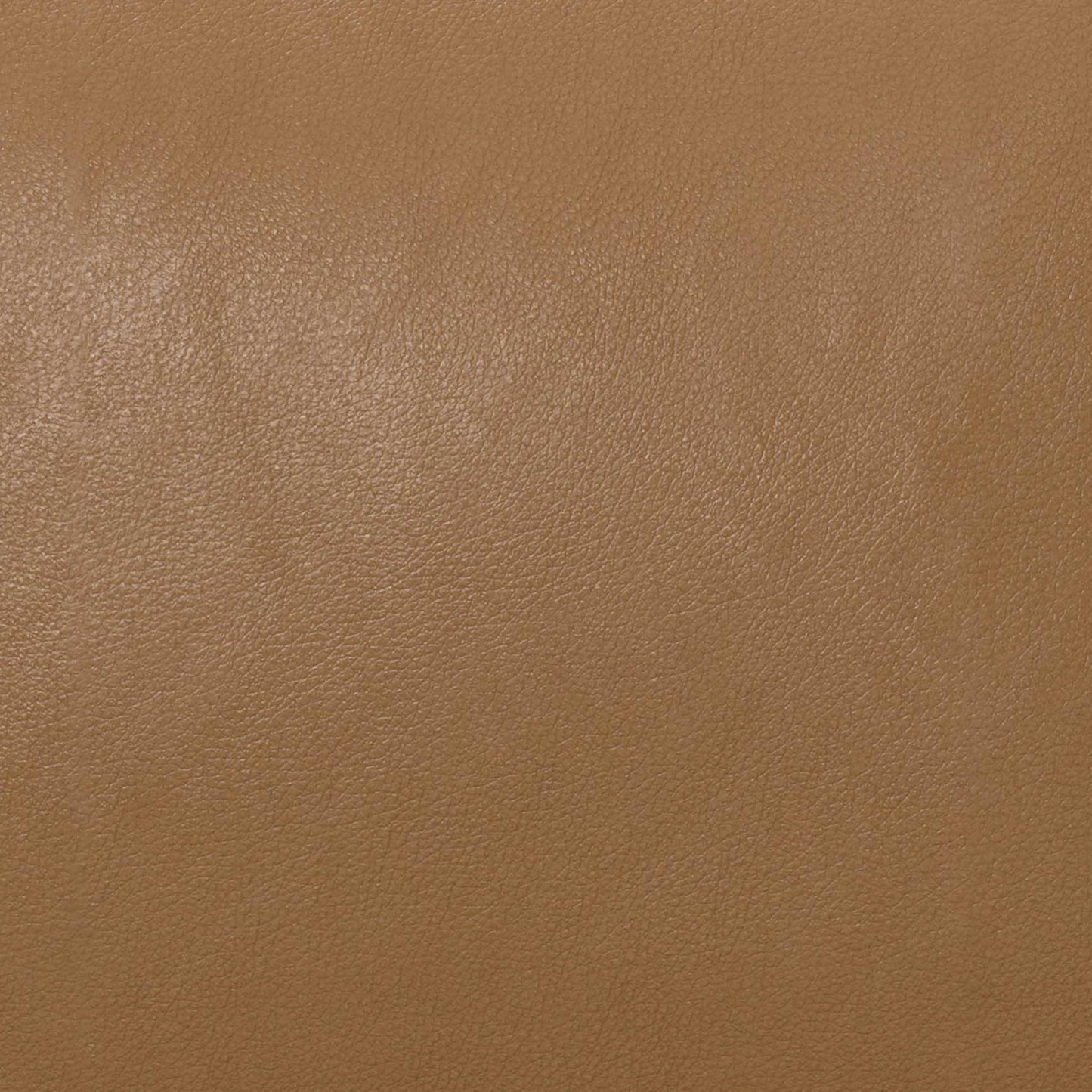 Butternut Brown Swatch