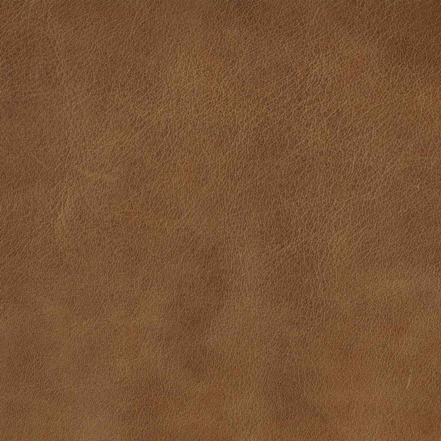 Caramel Brown Swatch