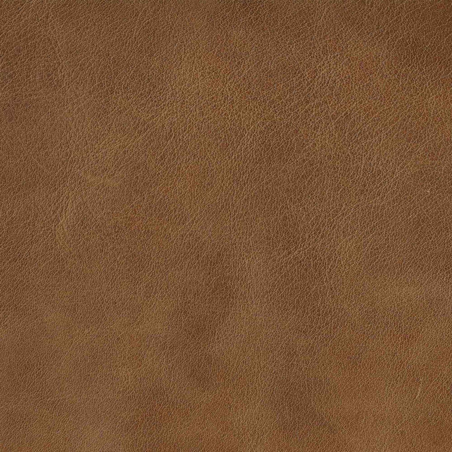 Livingston Swatch