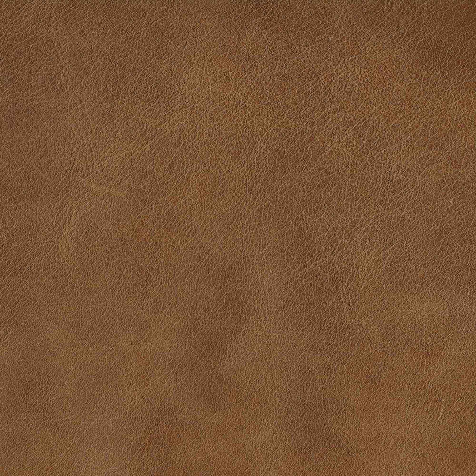 Caramel Brown Swatch