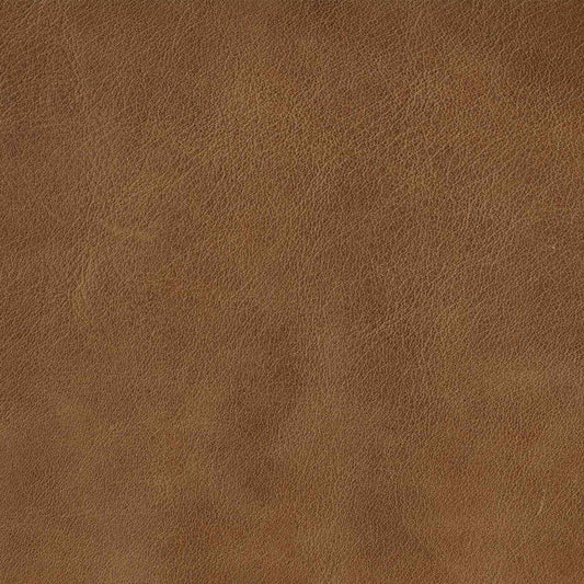 Caramel Brown Swatch