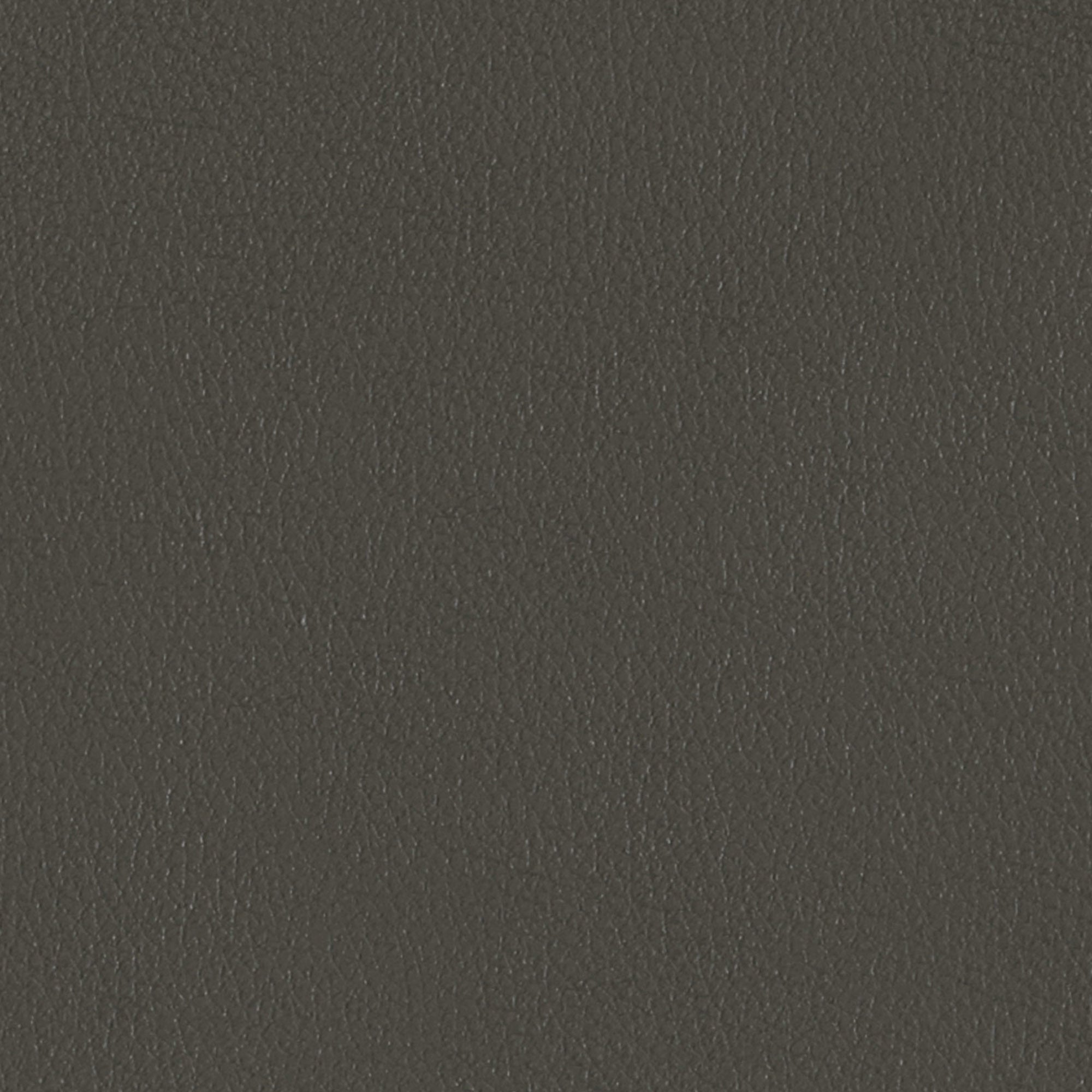 Coal Swatch