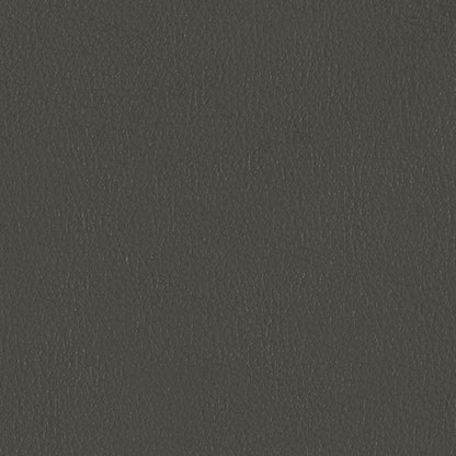 Coal Swatch