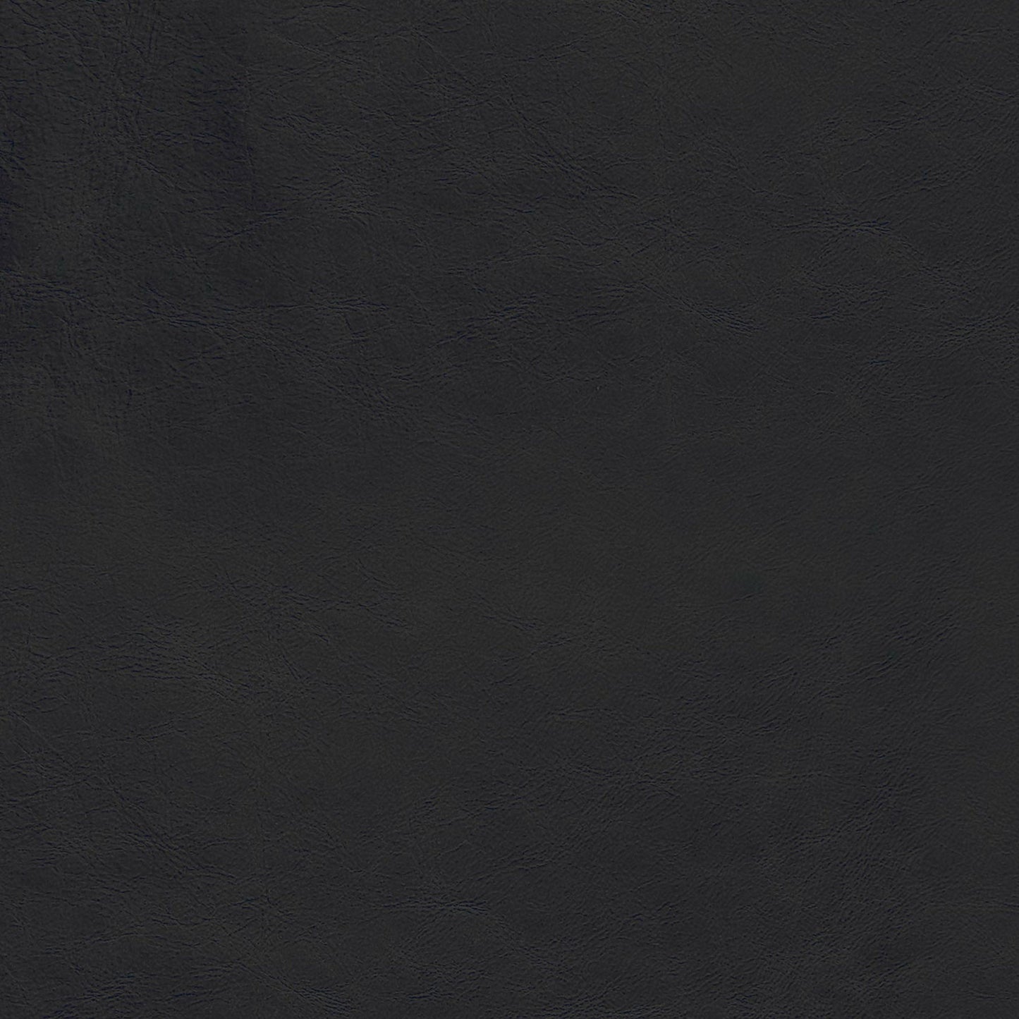 Lead Black Swatch