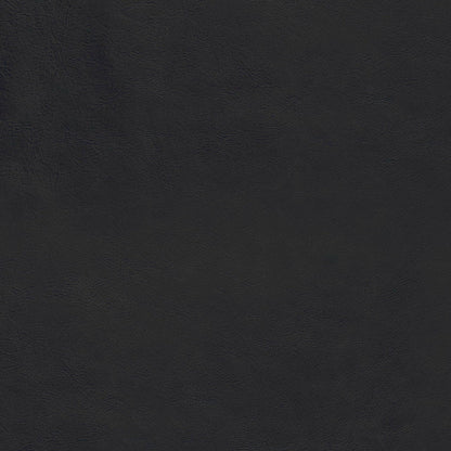 Lead Black Swatch