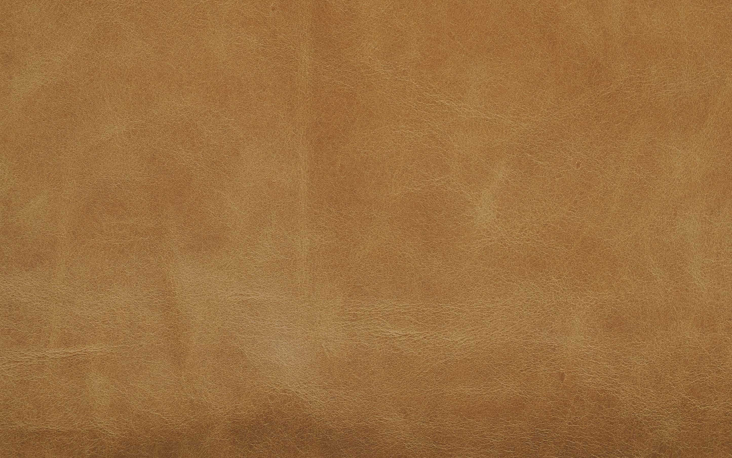 Sienna Genuine Leather | Rex 3 Seater Sofa in Genuine Leather