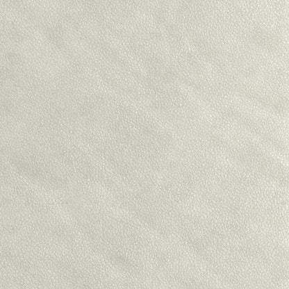 Light Smoke Grey Swatch
