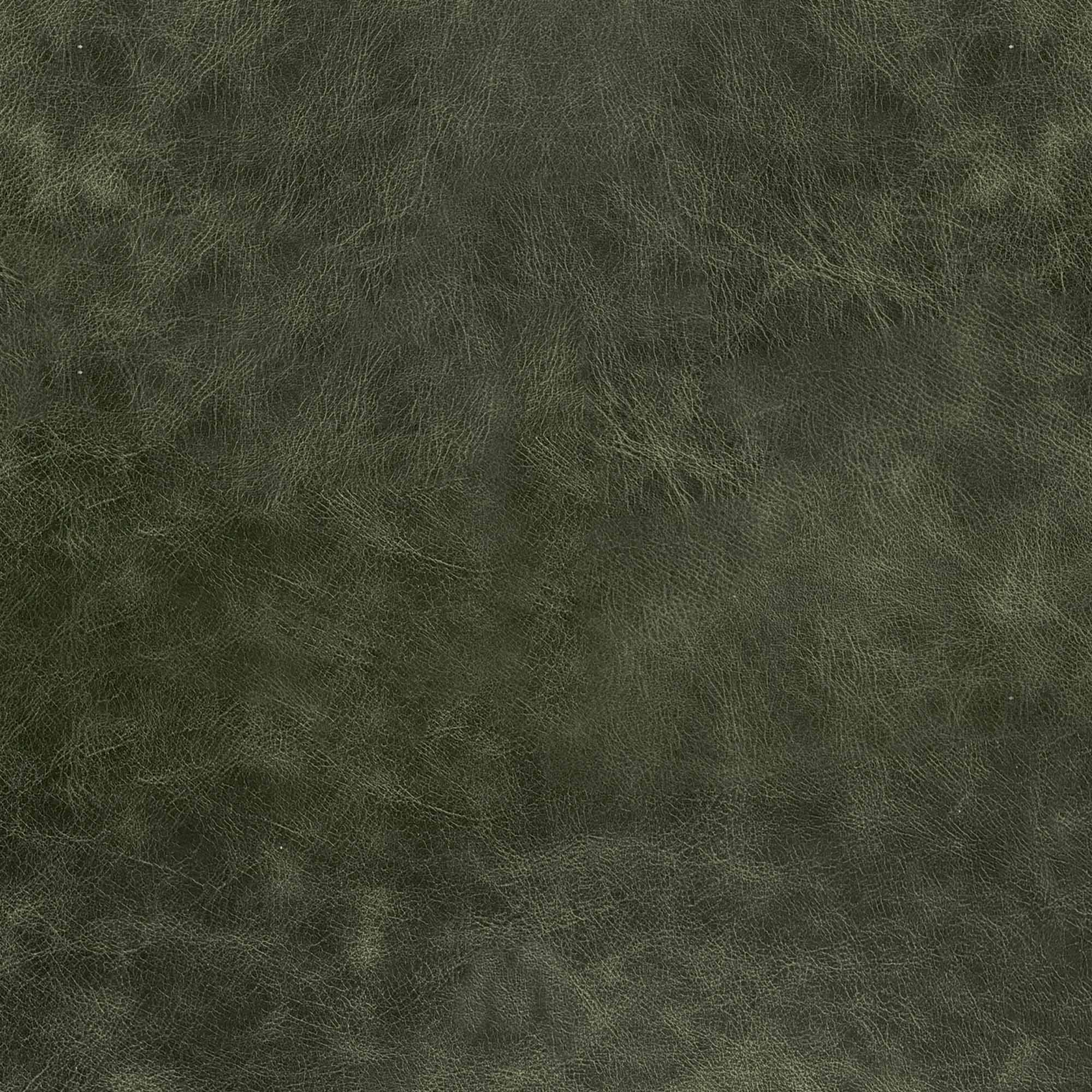 Moss Green Swatch