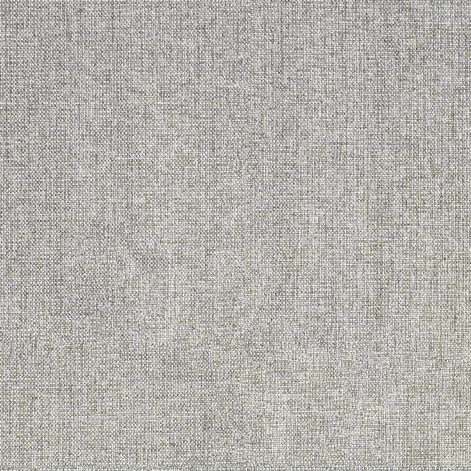 Pale Grey Swatch