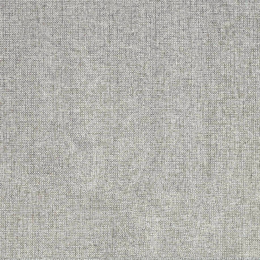 Pale Grey Swatch