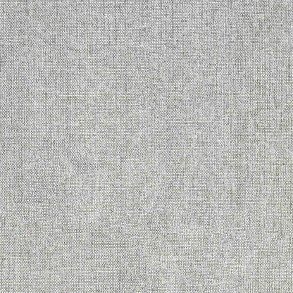 Pale Grey Swatch