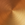 Cognac and Gold