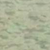 Green Wash
